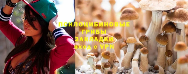 стафф Дмитров