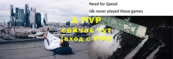 Альфа ПВП Елизово