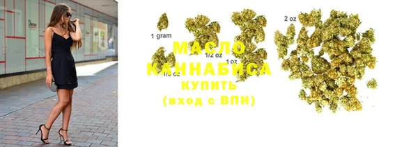 амф Дмитриев
