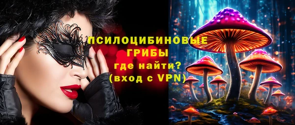 амф Дмитриев