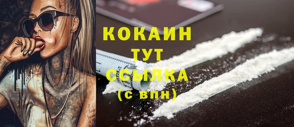 соль ск Дмитровск