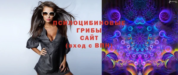 спайс Ельня