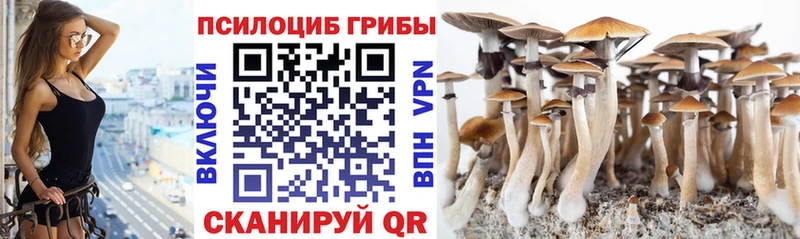 Галлюциногенные грибы мухоморы Ишимбай